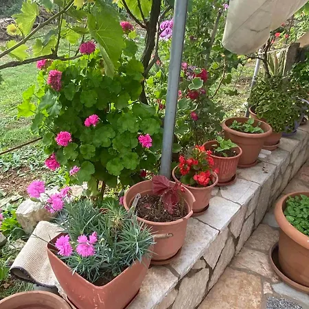 Apartmán Ilias Family